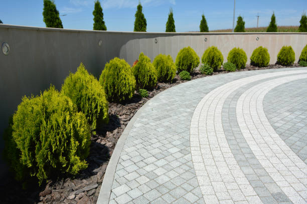 Reasons to Select Us for Your Driveway Paving Requirements in Jacksonville, IL